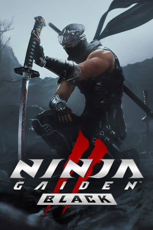 NINJA GAIDEN 2 Black poster