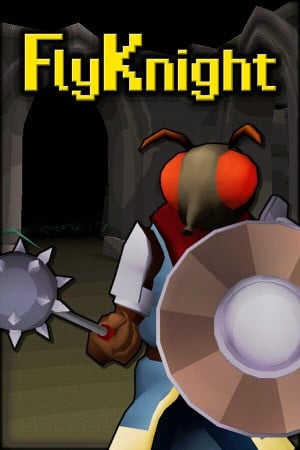 FlyKnight poster