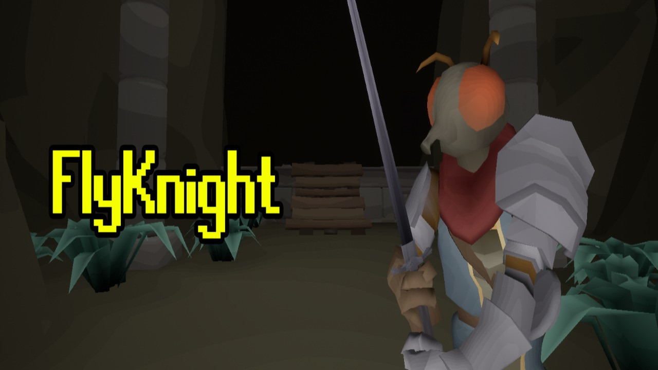 FlyKnight poster