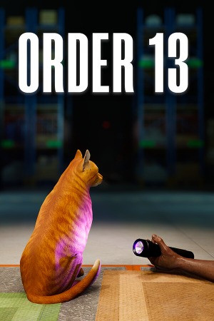ORDER 13 poster