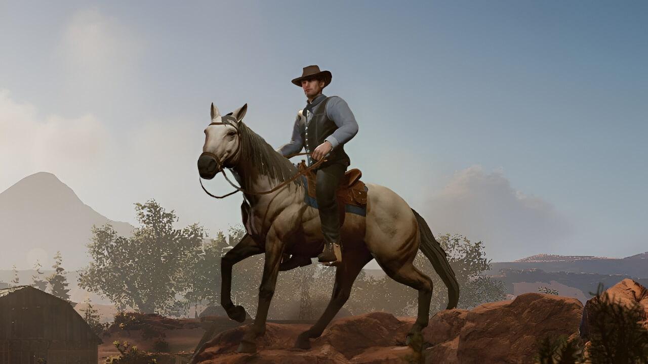Cowboy Life Simulator poster