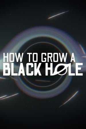 How To Grow a Black Hole poster