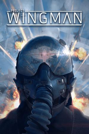 Project Wingman poster