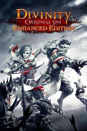 Divinity: Original Sin Enhanced Edition poster
