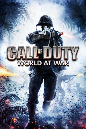 Call of Duty World at War poster