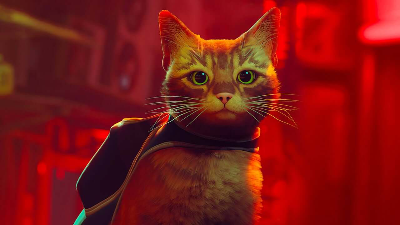 Stray poster