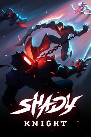 Shady Knight poster