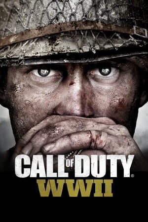 Call of Duty WWII poster