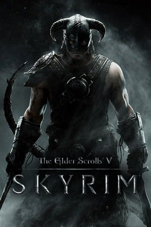 The Elder Scrolls V Skyrim poster