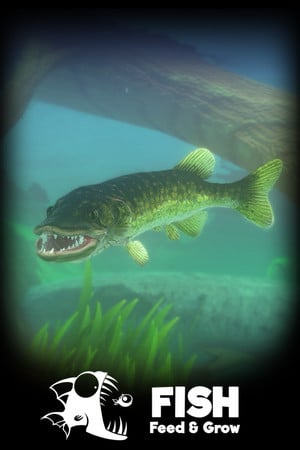 Feed and Grow Fish poster