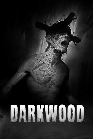 Darkwood poster