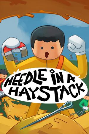 Needle In A Haystack poster